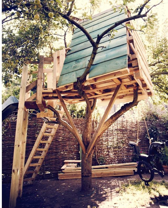 TREEHOUSE_44